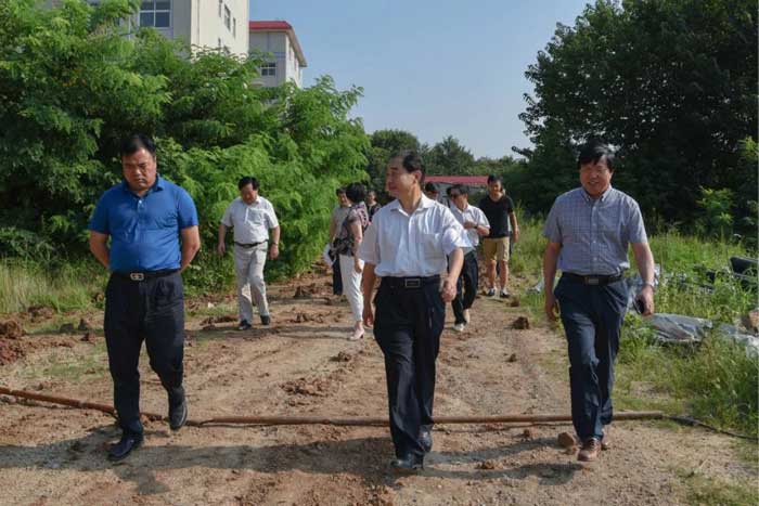 信陽(yáng)市人民政府副市長(zhǎng)張明春蒞臨我院調(diào)研中醫(yī)藥事業(yè)發(fā)展情況